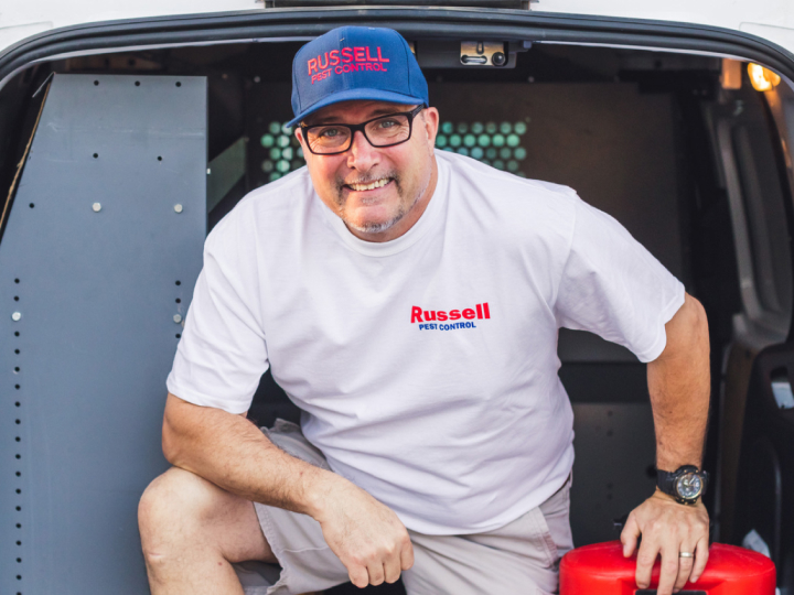 Russell Pest Control project